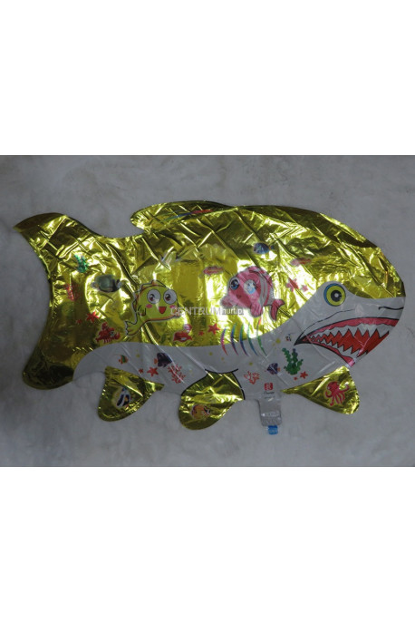Balony (50x30) 0231