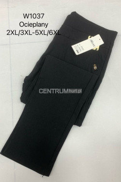 Spodnie damskie (2XL-6XL) W1037