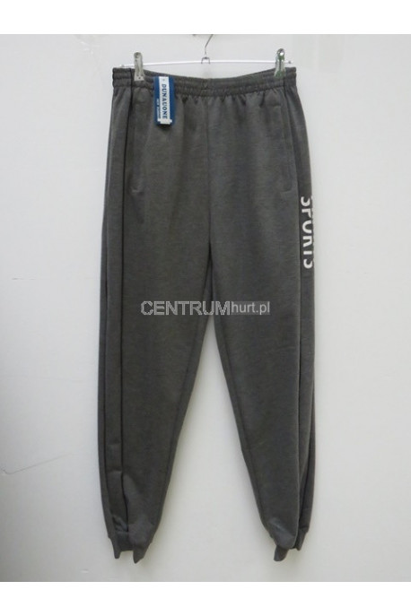 Spodnie dresowe męskie (M-4XL) 1