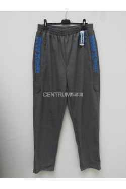 Spodnie dresowe męskie (M-4XL) 4932