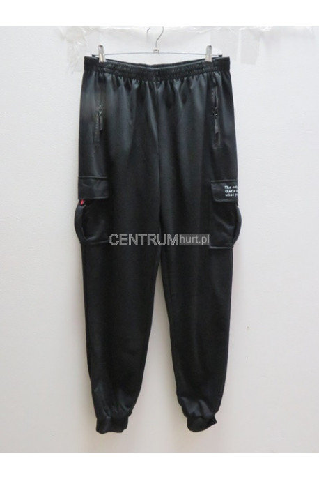 Spodnie dresowe męskie (M-4XL) 2