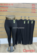 Leginsy damskie (2XL-6XL) 2023-