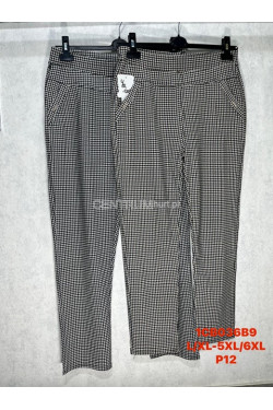 Spodnie damskie (L-6XL) 1CB036B9