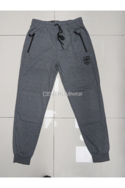 Spodnie dresowe męskie (M-3XL) 2