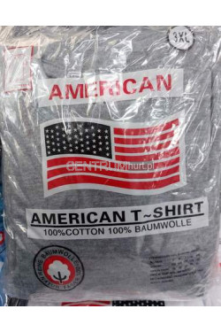 KOSZULKA AMERICAN SZARA (M-3XL)KRÓTKI RĘKAW