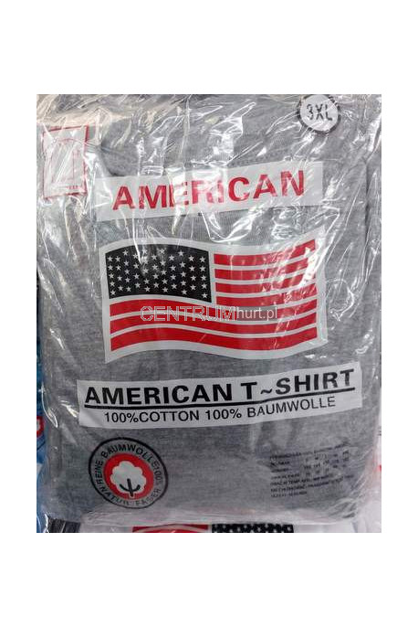KOSZULKA AMERICAN SZARA (3-5XL) D01-189