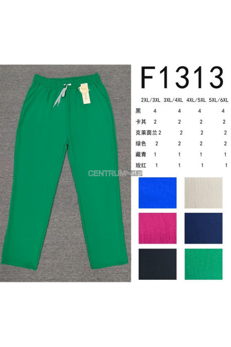 Spodnie damskie (2XL-6XL) F13