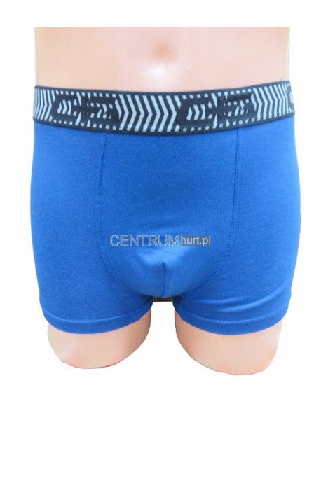 Bokserki męskie (M-2XL) 55