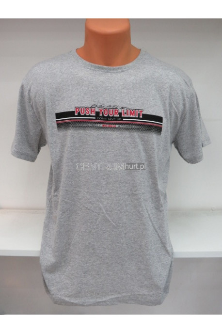 Koszulka męska Turecka (M-2XL) 55
