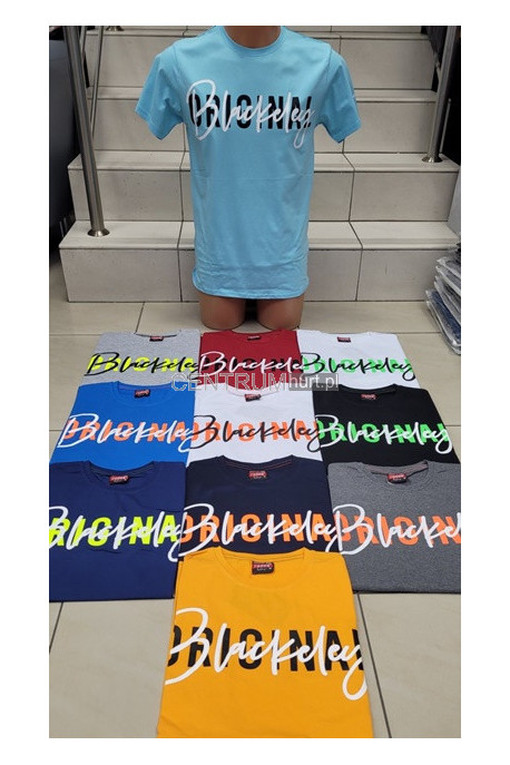 Koszulki męskie Tureckie (M-2XL) 80