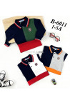 Bluza chłopięca KOLOR DO WYBORU (1-5) B60