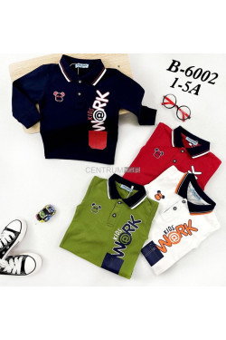 Bluza chłopięca KOLOR DO WYBORU (1-5) B60