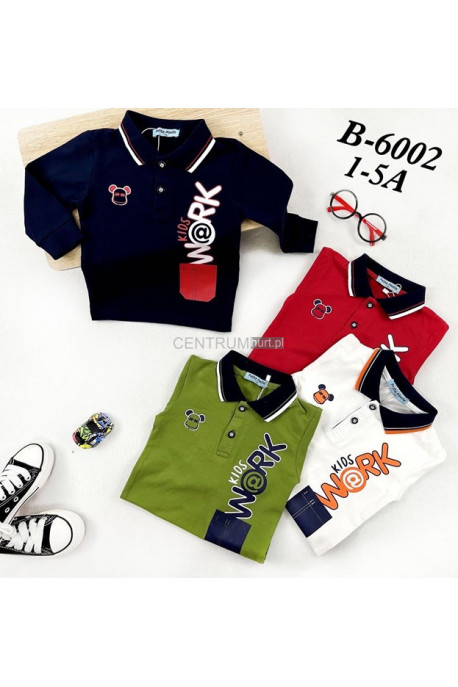 Bluza chłopięca KOLOR DO WYBORU (1-5) B60