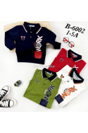 Bluza chłopięca KOLOR DO WYBORU (1-5) B60