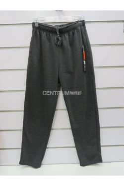 Spodnie dresowe męskie ocieplane (XL-5XL) XL442
