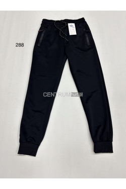 Spodnie dresowe męskie (M-3XL) 288