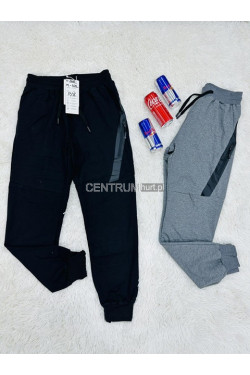 Spodnie dresowe męskie (M-3XL) 4646