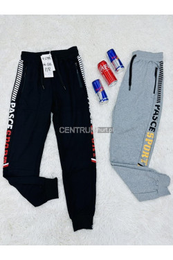 Spodnie dresowe męskie (M-3XL) 4649