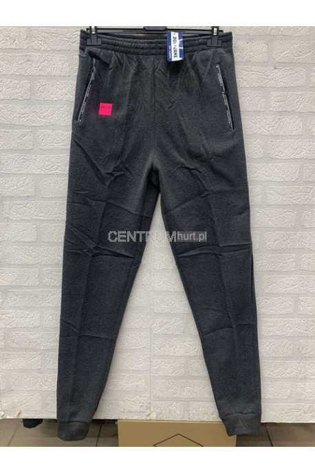 Spodnie dresowe męskie (M-2XL) 28