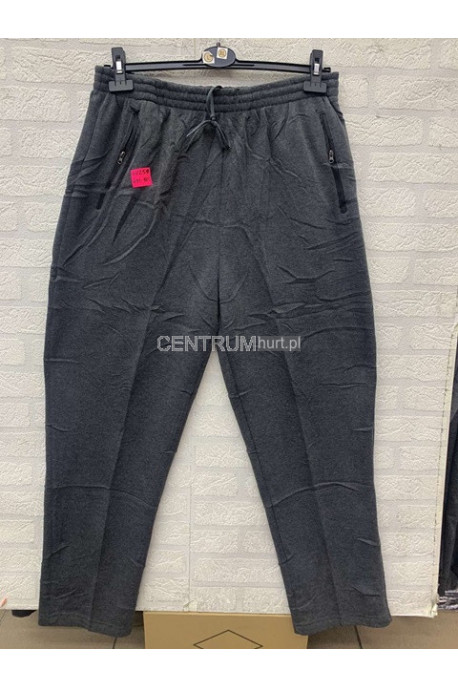 Spodnie dresowe męskie (M-2XL) 28