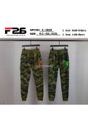 Spodnie dresowe męskie (M-3XL) 1