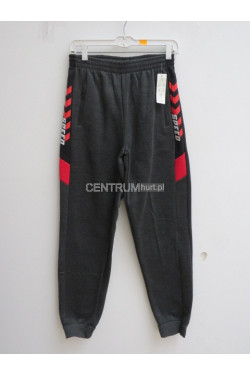 Spodnie dresowe męskie ocieplane (M-4XL) 2