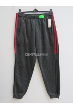 Spodnie dresowe męskie ocieplane (2XL-6XL) 1