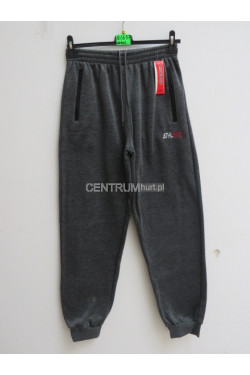 Spodnie dresowe męskie ocieplane (M-4XL) 1