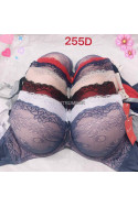 Biust K-GO MISKA D (80-115) kolor do wyboru 6207