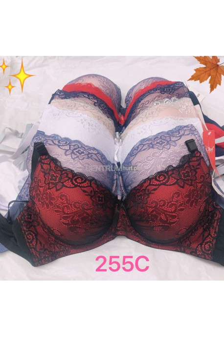 Biustonosz kolor do wyboru MISKA D 1