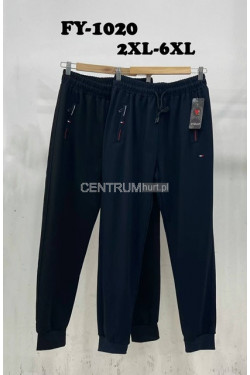 Spodnie dresowe męskie (2XL-6XL) FY-1020