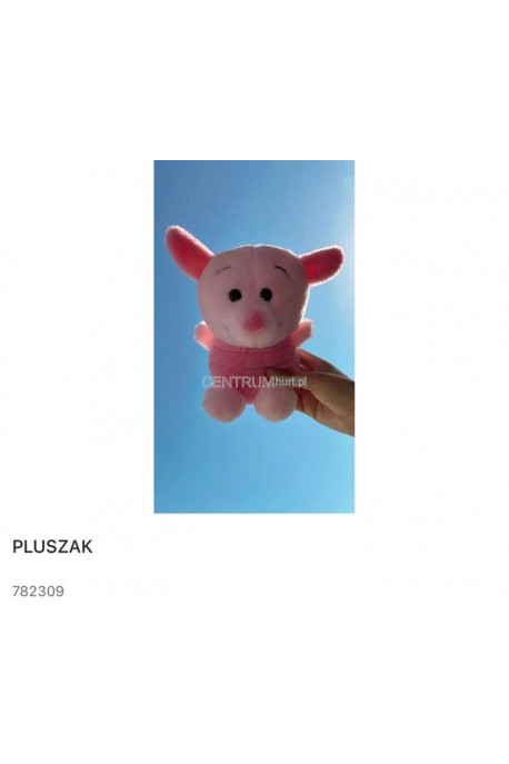 Maskotka pluszak 1