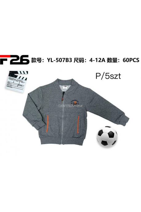 Bluza chłopięca (4-12) 1