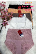 Majtki damskie (XL-3XL) 1