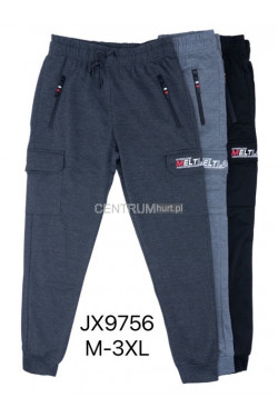 Spodnie dresowe męskie (M-3XL) JX9756