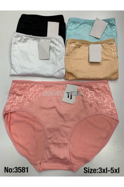 Majtki damskie (3XL-5XL) 3581