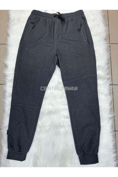 Spodnie dresowe męskie (M-2XL) 99