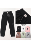 Spodnie dresowe damskie (XL-6XL) 1