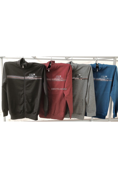Bluza męska (M-2XL) 54