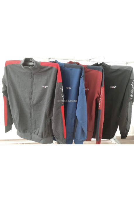 Bluza męska (L-3XL) 54
