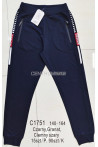 Spodnie dresowe chłopięce (140-164) C17