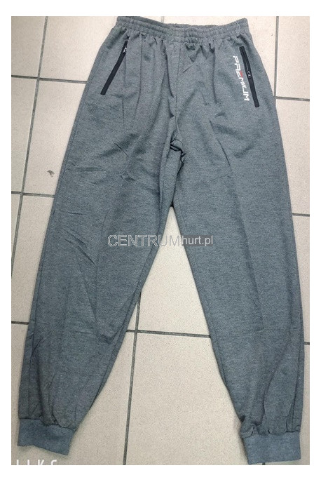 Spodnie dresowe męskie (M-4XL) 55