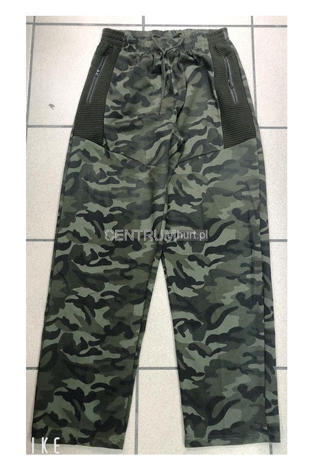 Spodnie dresowe męskie (M-4XL) 55