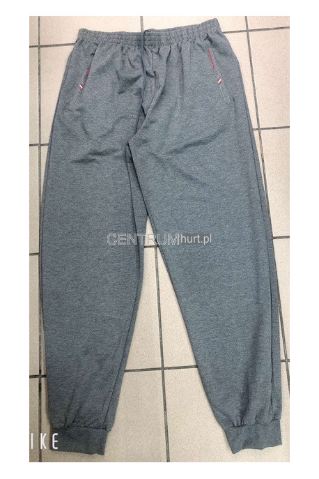 Spodnie dresowe męskie (M-4XL) 55