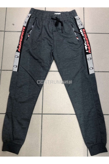 Spodnie dresowe męskie (M-4XL) 55