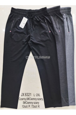 Spodnie dresowe męskie (L-2XL) JX6321