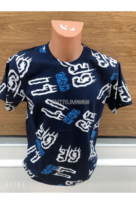 Koszulka męska (M-2XL) 55