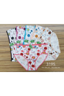Majtki damskie (4XL-6XL) 2