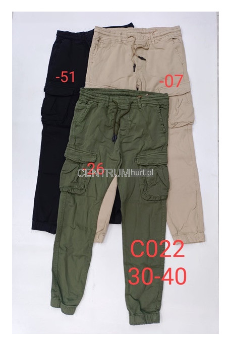 Spodnie męskie (30-40) B