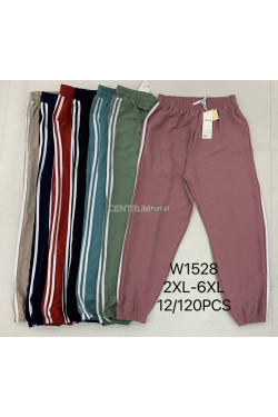 Spodnie dresowe damskie (2XL-6XL) W1528